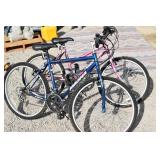 (2) Bikes- Magna Mountain Tamers