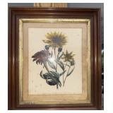 Antique Botanical framed print signs of wear