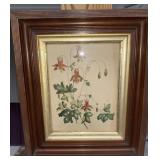 Antique Botanical print shadowbox