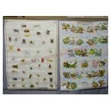 Arachnids & Frogs & Toads Posters ~ Rolled