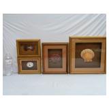 Sea Reflections Framed Seashells & Sea Urchin