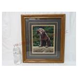 Wolf in Training ~ Timber Wolf by Anderson