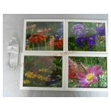 Framed Flower Photographs / Prints ~ Set of 4