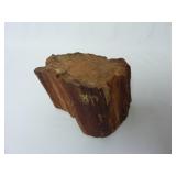 4" Wide Piece of Petrified Wood
