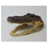 Alligator Head ~ Signed PMAW 2012