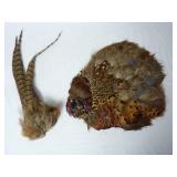 Vintage Real Pheasant Feathers