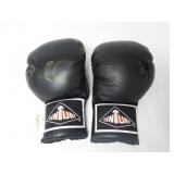 Century Boxing Gloves ~ Used