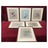 6 1957-60 F. Lansdowne Bird Prints