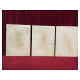 3 14.75" x1" x 19.75" Fish Cleaning/Carving Boards