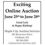 Bidding Starts Sunday June 25 at 4pm.