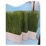 Three desk plant decoration