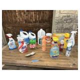 Household Chemicals & Cleaners Lot