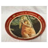 Vintage Superior Beer Metal Serving Tray