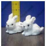 Bunnies