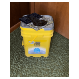 Colored glass cat piece 8' x 10'