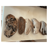 Drift wood pieces up to 9' L