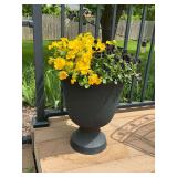 20' black plastic planter with pansies