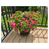 15' planter with petunias