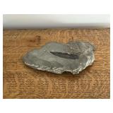 Interesting rock with feather impression