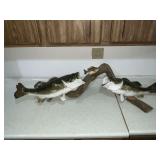 Very nice bass fish mount