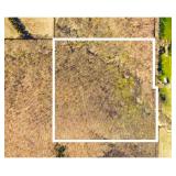 40 Acres of Land in Hunnewell, MO Available for Auction