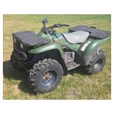 1999 Kawasaki Prairie 300 Automatic ATV