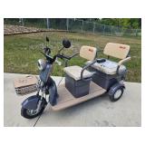 IRGC40 Electric Mini Golf Cart Tricycle