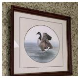 Framed Canadian Goose print