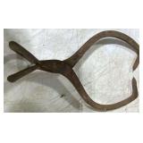 Ice tongs
