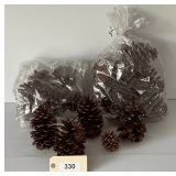 Large Pine Cone Assortment