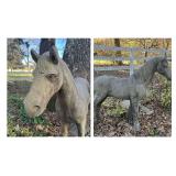 Pair of Concrete Horse Garden Statues - Approximately 44' x 44'