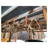 Horns horns horns!!! Crafters, collectors, decorators lots of mule deer horns plus elk and antelope