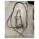 Bridle with split reins
