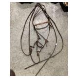 Bridle with split reins