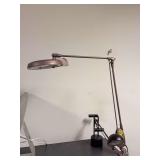 Magnifying light and reading light