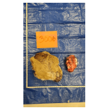 Mountain lion hide and skull, frozen Pelt Tag 31171