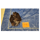 Black bear hide and skull, frozen	Pelt Tag 93755