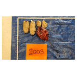 Mtn Lion skull and paws, frozen	Pelt Tag 0027095