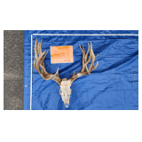 1 MD skull cap, 1 MD euro skull	9.8 lbs