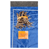 Deer antlers	13 lbs