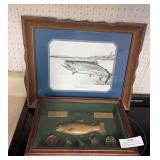Shadowbox rainbow trout wall display and signed and numbered Barbara Peets pencil sketch “Hooked on Steelhead”