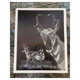 Black and white pronghorn art print by L Braning 1980 16 x 20 unframed