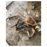 Pronghorn and additional sheds
