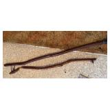 Two walking sticks, mushroom carved one belongs to “Dick”