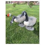 2 canadian goose decoys or yard art