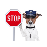 PLEASE READ THE AUCTION INFO & TERMS AND CONDITIONS BEFORE BIDDING! It is important that you understand your responsibilities as a bidder. Thank you!