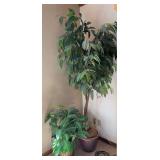 Two artificial plants