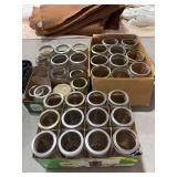 Canning jars