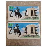 Pair of Matching Wyoming License Plates