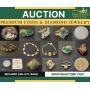 Premium Coins & Diamond Jewelry